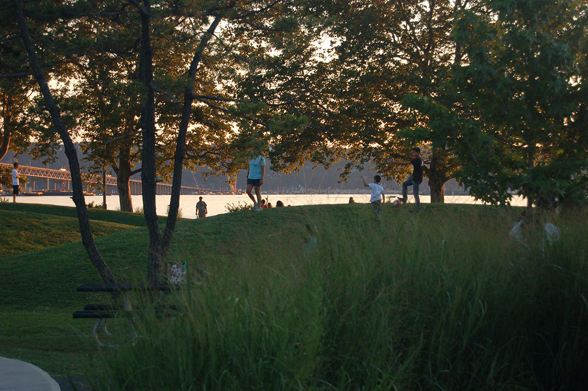 Pierson Park RGR Landscape