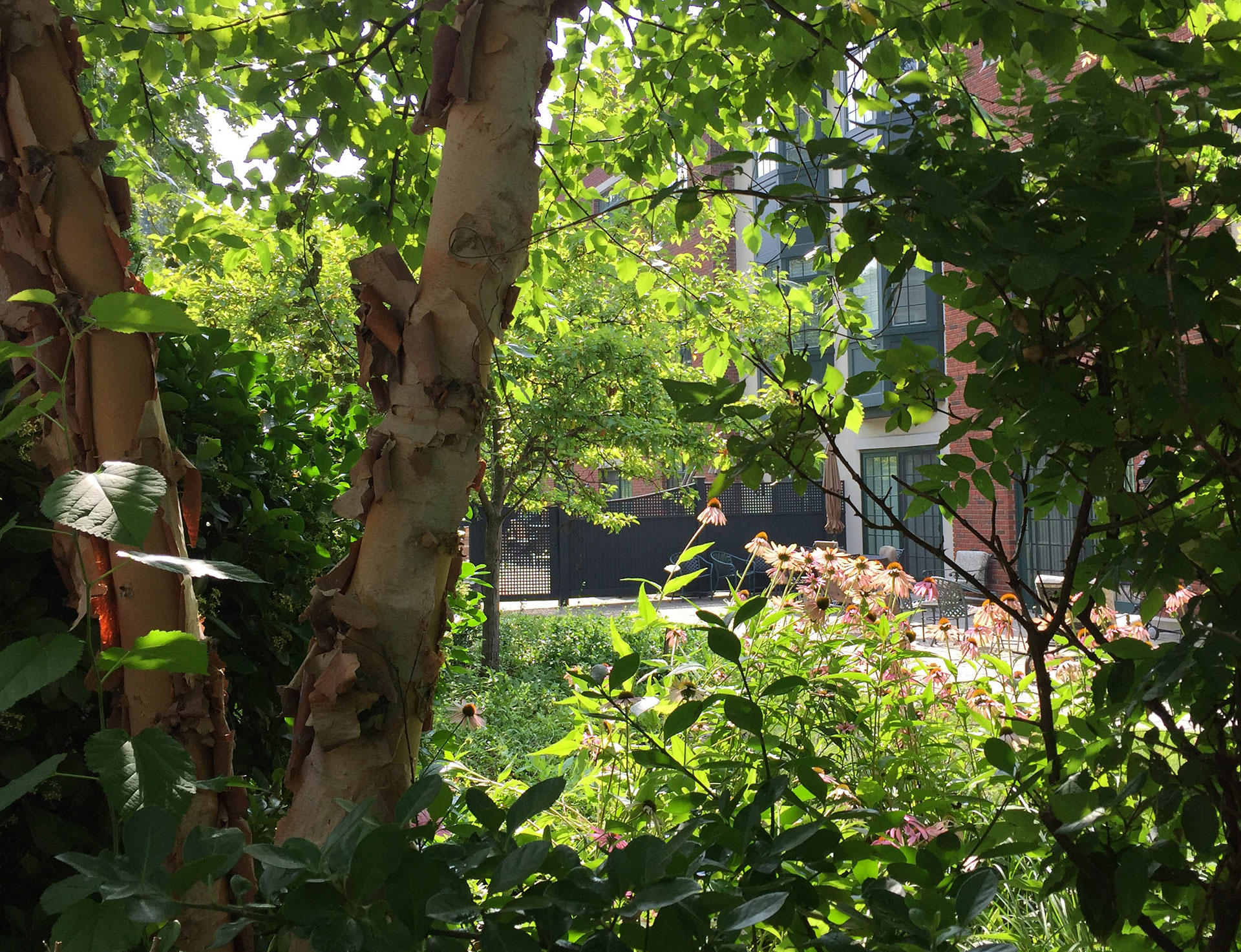 RGR Landscape - Christie Place